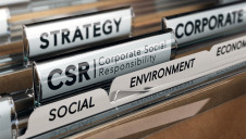 Comparisons have repeatedly been drawn between Covid-19 and the climate crisis, with businesses observing issues such as air pollution and supply chain stewardship in a new light